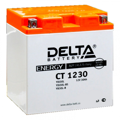 Аккумулятор DELTA СТ-1230 о.п. (YTX30L-BS) [д166ш126в175/330]